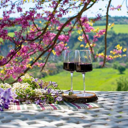 I Sicomori - Seme Di Carota - Glamping E Appartamenti Con Piscina A Saturnia Ngoại thất bức ảnh