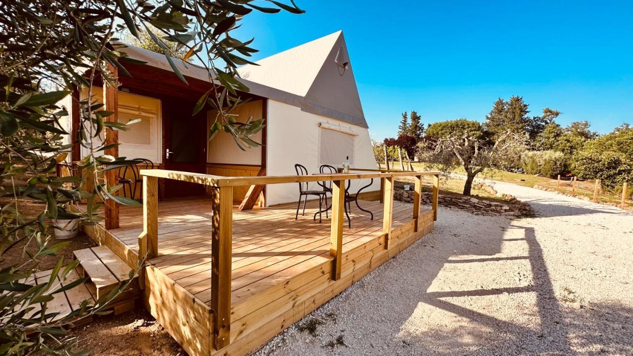 I Sicomori - Seme Di Carota - Glamping E Appartamenti Con Piscina A Saturnia Ngoại thất bức ảnh