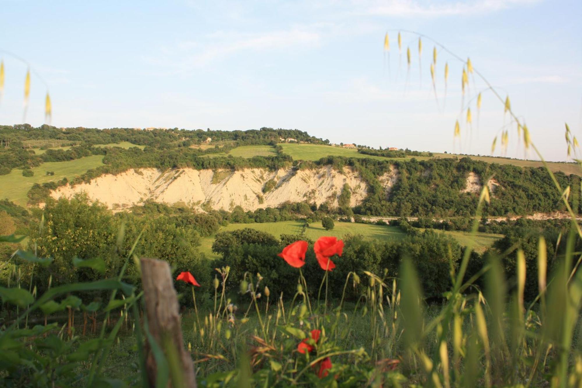 I Sicomori - Seme Di Carota - Glamping E Appartamenti Con Piscina A Saturnia Ngoại thất bức ảnh