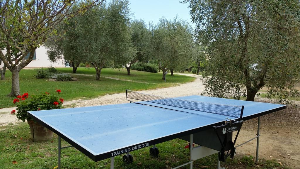 I Sicomori - Seme Di Carota - Glamping E Appartamenti Con Piscina A Saturnia Ngoại thất bức ảnh