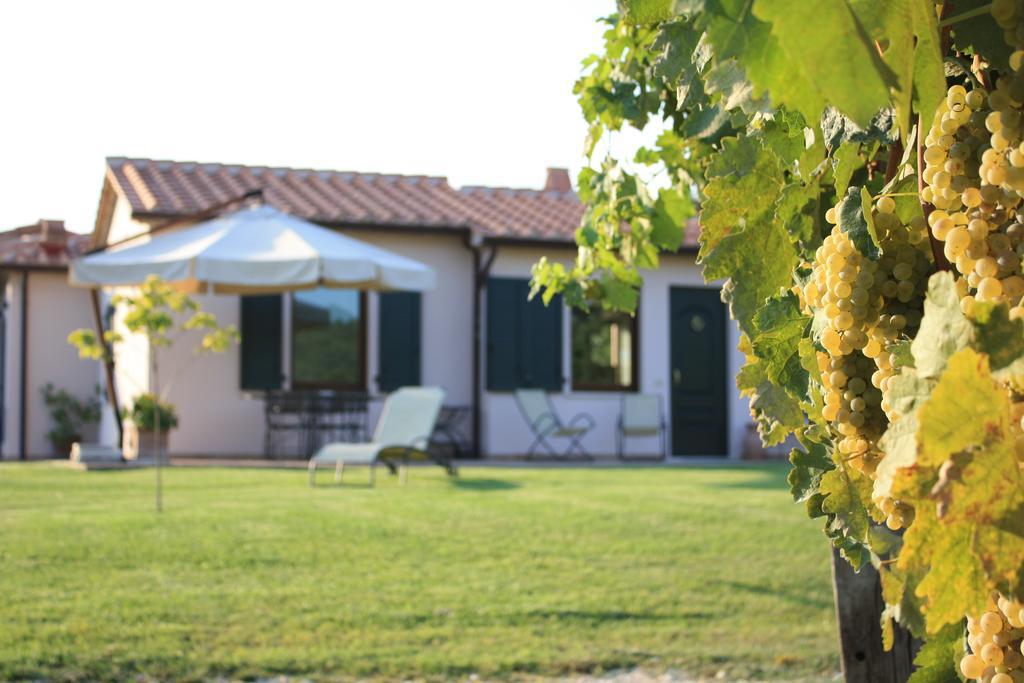 I Sicomori - Seme Di Carota - Glamping E Appartamenti Con Piscina A Saturnia Ngoại thất bức ảnh